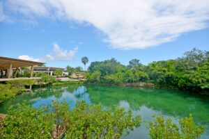 Only Beachfront Lot in Rosewood Mayakoba | A Truly Rare Offering