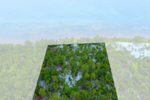Viridiana Reserve: Macro-lot in a Prime Location