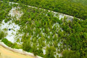 Viridiana Reserve: Macro-lot in a Prime Location