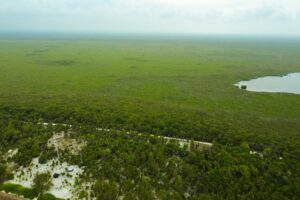 Viridiana Reserve: Macro-lot in a Prime Location