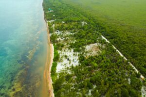 Viridiana Reserve: Macro-lot in a Prime Location