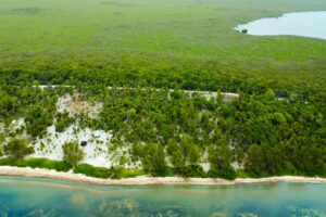 Viridiana Reserve: Macro-lot in a Prime Location