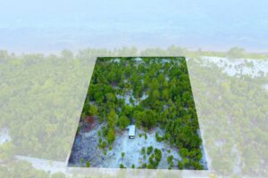 Viridiana Reserve: Macro-lot in a Prime Location