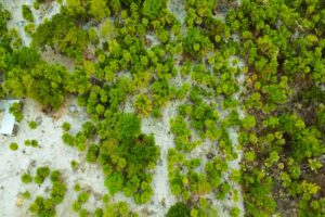 Viridiana Reserve: Macro-lot in a Prime Location