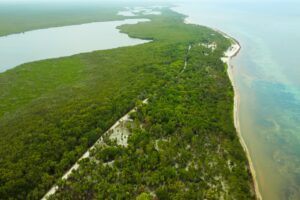 Viridiana Reserve: Macro-lot in a Prime Location