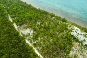 Viridiana Reserve: Macro-lot in a Prime Location