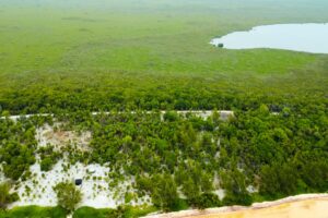 Viridiana Reserve: Macro-lot in a Prime Location