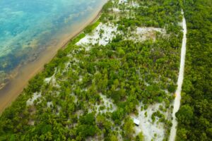 Viridiana Reserve: Macro-lot in a Prime Location