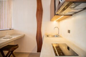 Zen Lock-Off Penthouse