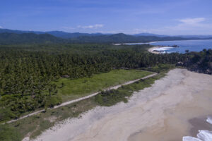 Roca Ahumada