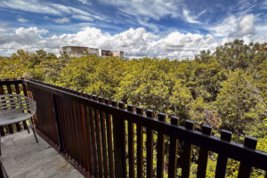 LUUM ZAMA LUXURY PENTHOUSE WITH ROOFTOP, LARGE TERRACE, PRIVATE POOL AND VIEWS