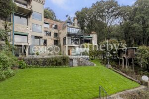 El faro del bosque
