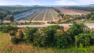 Lot KM 71 | Strategic land on Barra de Navidad Road, Costalegre
