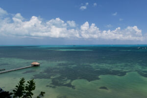 PRIVATE RESIDENCE OCEANFRONT OF CARIBBEAN SEA – TOTAL ELEGANCE IN EVERY DETAIL