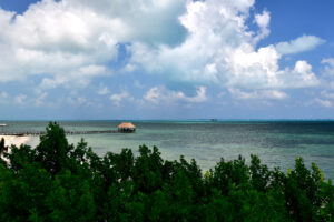 PRIVATE RESIDENCE OCEANFRONT OF CARIBBEAN SEA – TOTAL ELEGANCE IN EVERY DETAIL