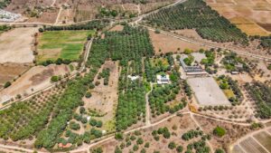 Casa Respiro | Private sanctuary in the heart of nature, Bucerías