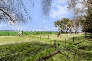 Rancho Encuestre Tenango del Valle