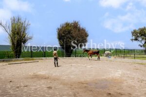 Rancho Encuestre Tenango del Valle