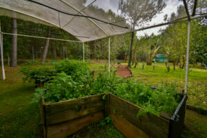 Rancho La Soberana en venta, en Concepción de Buenos Aires