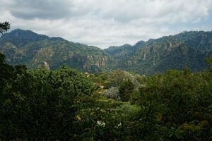 Hacienda Las Luciérnagas