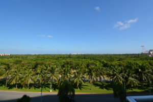 LIVE ABOVE IT ALL – FURNISHED OASIS MALECÓN APARTMENT WITH VIEWS