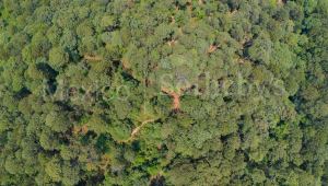 Terreno Rancho de Paso Hondo, Lote 17