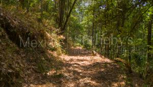 Terreno Rancho de Paso Hondo, Lote 17