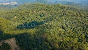 Terreno Rancho de Paso Hondo, Lote 17