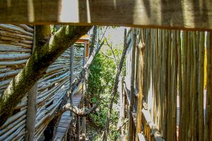 The Twin Canopy Estate | Private Sanctuary in Holbox