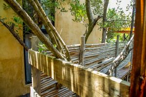 The Twin Canopy Estate | Private Sanctuary in Holbox