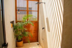 The Twin Canopy Estate | Private Sanctuary in Holbox