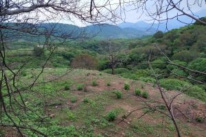 Lote Villa La Loma. El Realito. Ameca, Jalisco