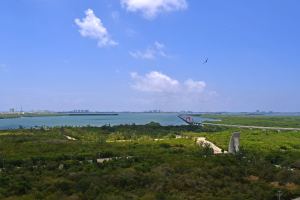 Elegance on the Caribbean Horizon