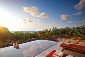 Design Jungle Suite