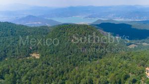 Terreno Rancho de Paso Hondo, Lote 12