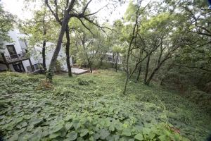 Architectural Residence with Private Gardens and Terraces