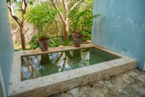 HACIENDA SERENITY OASIS RETREAT IN YUCATAN