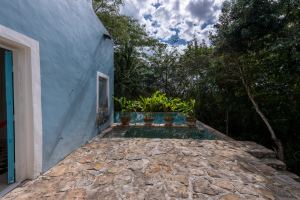 HACIENDA SERENITY OASIS RETREAT IN YUCATAN