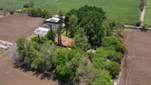 Ranch El Camichín, Ameca, Jalisco