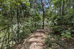 Terreno Manantial Acatitlan