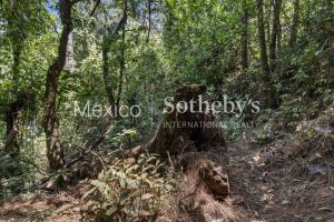 Terreno Manantial Acatitlan