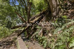 Terreno Manantial Acatitlan