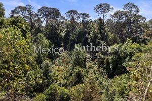 Terreno Manantial Acatitlan