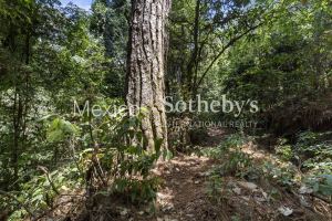 Terreno Manantial Acatitlan