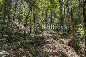 Terreno Manantial Acatitlan