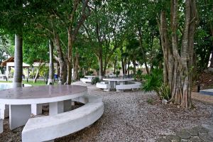 Prime Location & Family Amenities