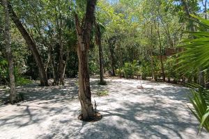 Luxury Residence Jungle Experience