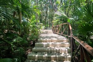 Luxury Residence Jungle Experience