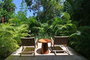 Villa Banyan Tree – Luxury Residence at Mayakoba