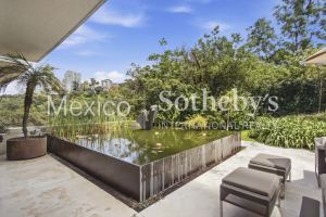 Garden La Punta